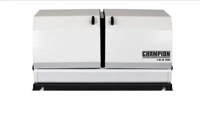 NEW CHAMPION 100838