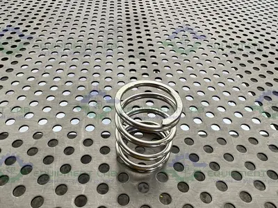 Waters Quality Parts 01141 Spring, Piston P-200, P350