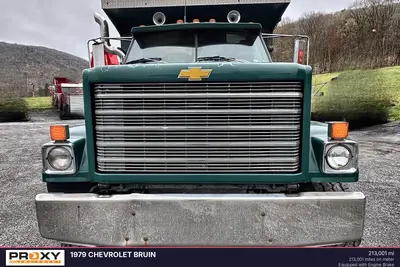 Used 1979 CHEVROLET BRUIN Dump trucks Pennsylvania US | Proxy Equipment #1377853