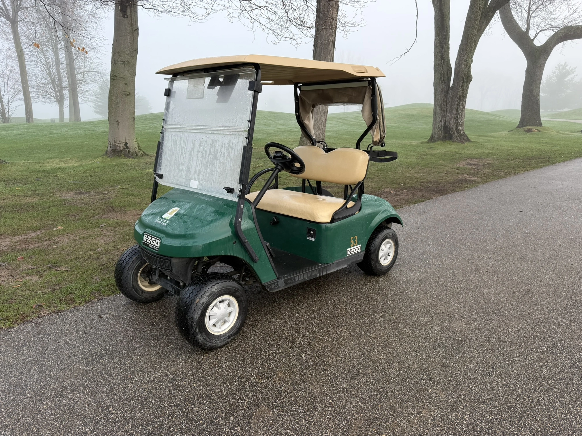 (1) 2017 E-Z-Go golf cart with a Kawasaki gas engine, model 625111G01,includes canopy, ball cover, c...