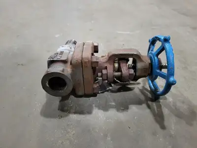 3/4" Class 800 Gate Valve B16.34
