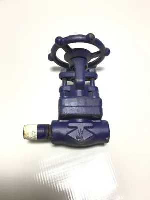 OMB A105N 1/2″ Gate Valve