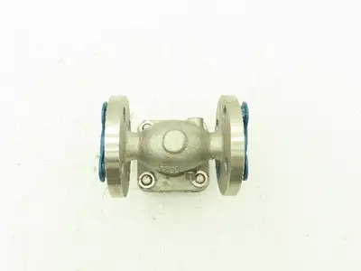 Neway 0.5S1RG10-TFE Swing Valve Class 150 195@400°F Body CF8M 1/2"