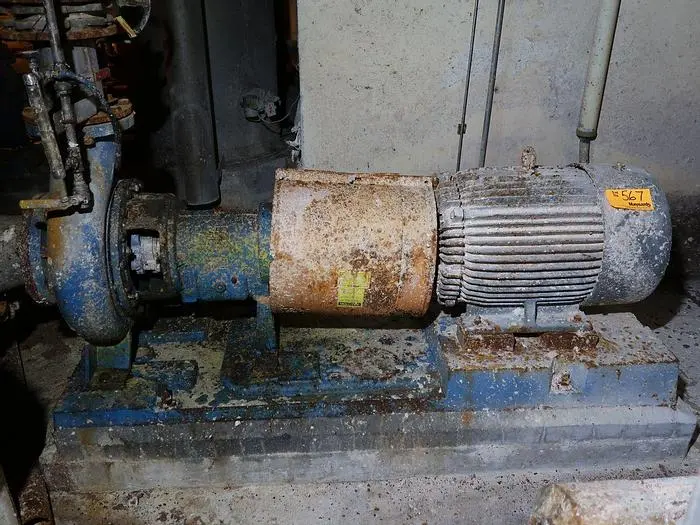 USED GOULDS 3196