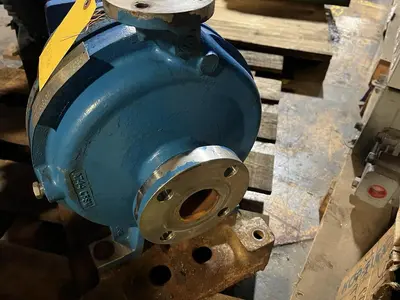 USED GOULDS 3196