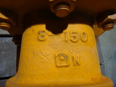 Pacific 8", Class 150, WCB, Gate Valve