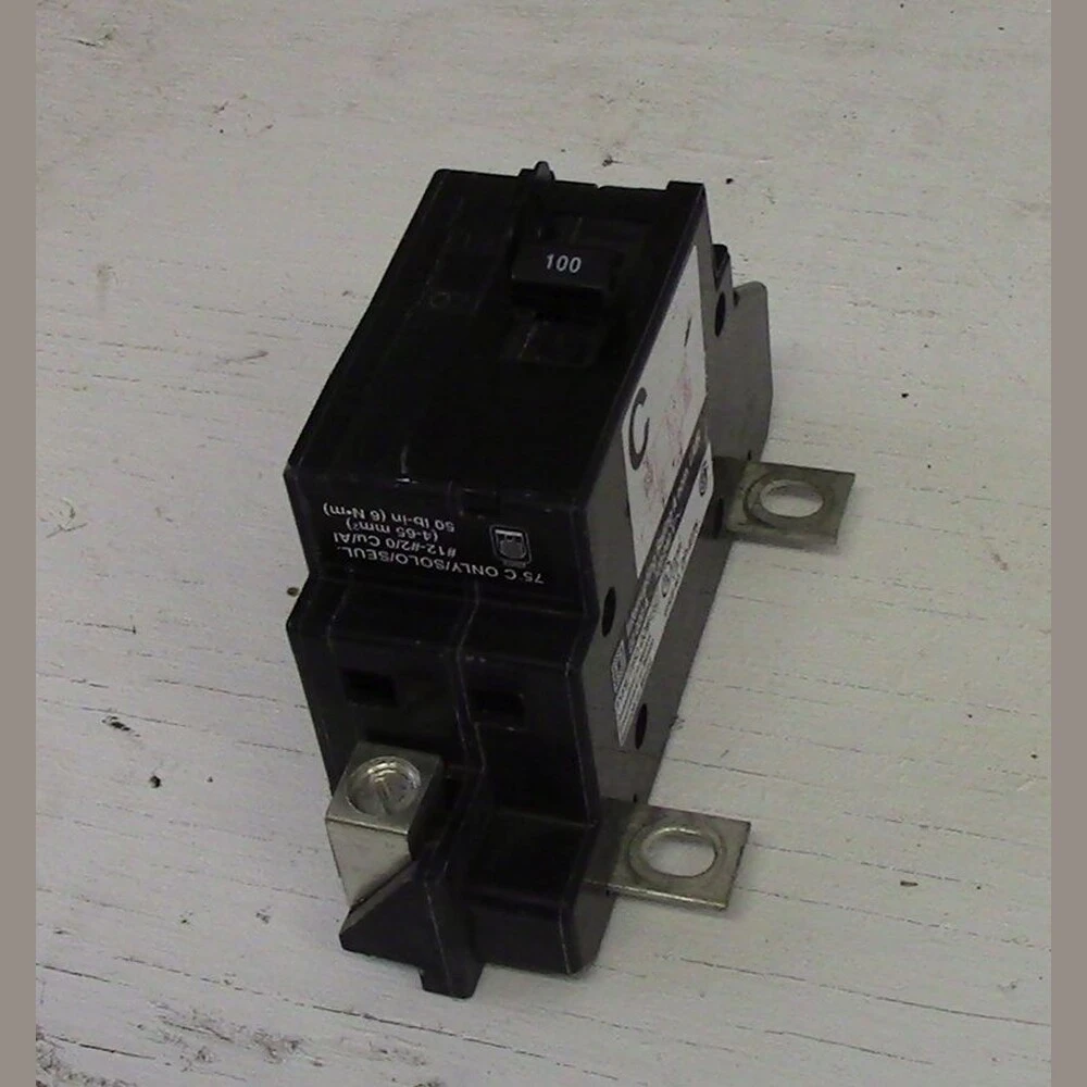 Square D 2 Pole 100 Amp Panel Main Breaker