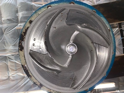 USED Goulds 3175