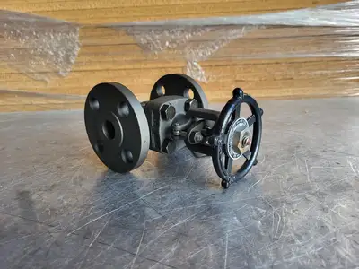 3/4" Class 150 Gate Valve B16.34