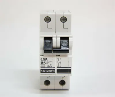 Altech Corp 2CU10 2DU6 2CU8 1GU6 1DU2 1DU3 1ZU05 Circuit Breaker Lot of 12 (8459