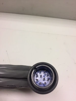 NEW Carol C6053A