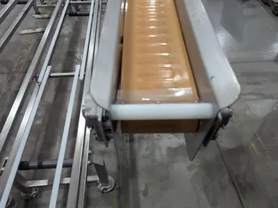 14'L 6''W Transfer Conveyor