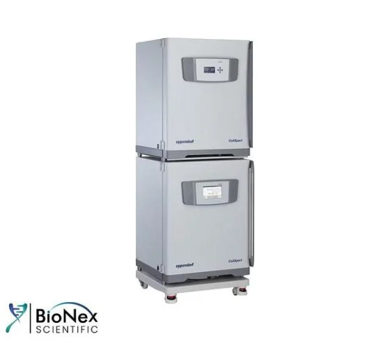 Used EPPENDORF CELLXPERT CO2 Incubators New Jersey US | Bionex Scientific LLC #799919
