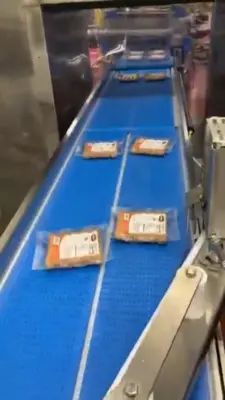 USED CUSTOM BUILT CONVEYOR