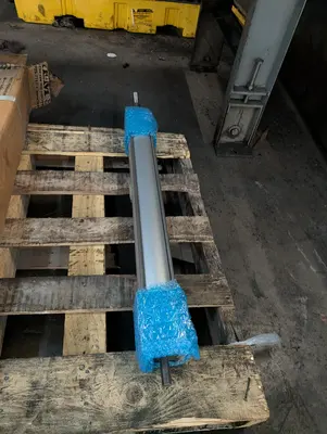 Used _UNKNOWN_ _UNKNOWN_ Hydraulic Cylinders Texas US | IRS Auction #1320639