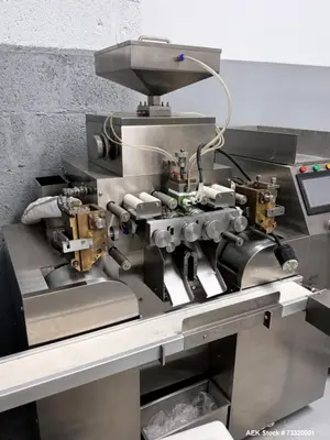 Automatic Capsule Filler with Tumble Dryer & Gelatin Melting Tank – HTSYS-5