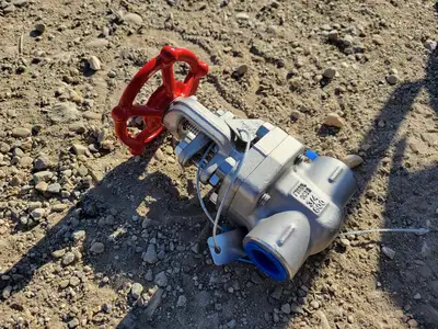 3/4" Class 800 Gate Valve B16.34