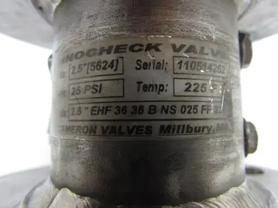 Technocheck 2.5" EHF 36 36 B NS 025 2-1/2" Stainless Steel Dual Disk Check Valve
