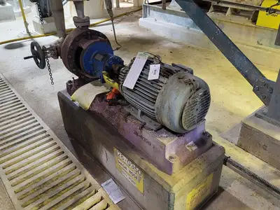 USED GOULDS 3196