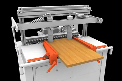 NEW MAGGI SYSTEM 21