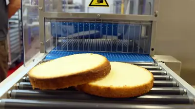 KRUMBEIN | HS300 Horizontal Tabletop Slicer | Cake Slabber