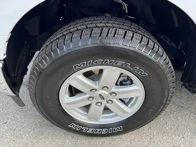 Used 2021 FORD F-150 Pickup Trucks Florida US | Truck and Van Outlet #1509181