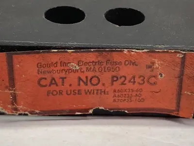 USED GOULD P243C
