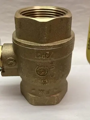 New | in-Stock FNW FNW410H Pump & Valve Parts Ohio US | Surplus Asset Holdings #1241897