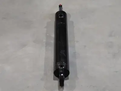 Hydraulic Cylinder 100028168