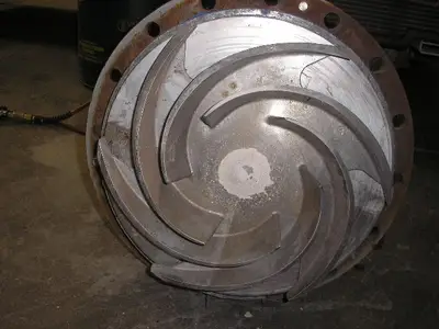 USED GOULDS 3196