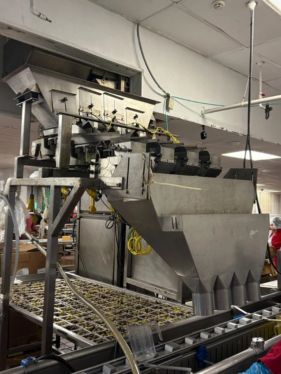Used ALL-FILL FOUR LANE ST SERIES Linear Packaging  Scales Washington US | The Equipment Butler #1046271