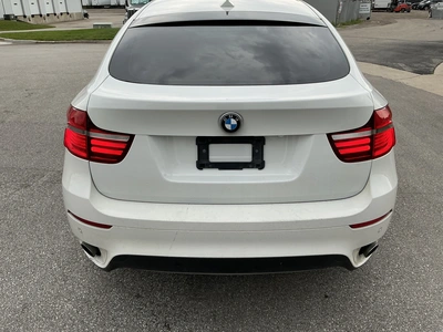 Used 2010 BMW X6 Tracked Mud Buggy Michigan US | Miedema Asset Management Group #1474468