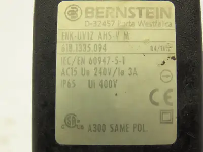 Bernstein ENK-UV1Z AHS-V Limit Switch 500V 10A 30mm Arm Plastic Roller Lot of 2