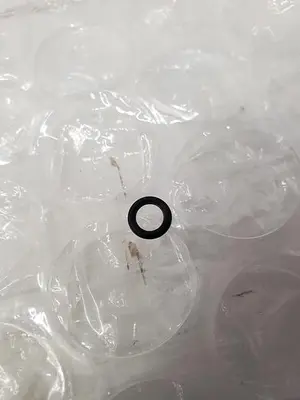 USED O-RING 009767-001