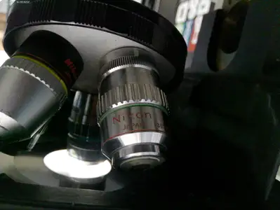 Nikon Diaphot Inverted Phase Contrast Microscope With 3 Objectives