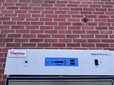 USED THERMO SCIENTIFIC 3950  CO2 INCUBATOR TEMP RANGE  29 CUFT, 60C°, 120V