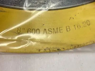 New | in-Stock FLEXITALLIC 600 ASME Pump & Valve Parts Ohio US | Surplus Asset Holdings #1244877