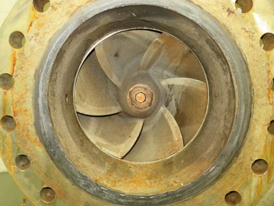 USED Goulds 3175