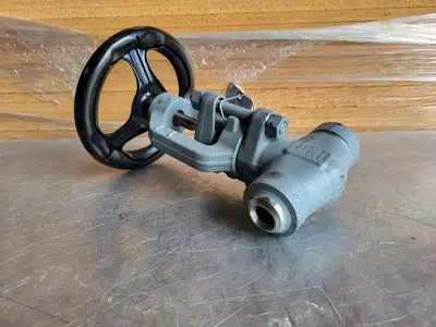1" 1500 PSI Globe Valve
