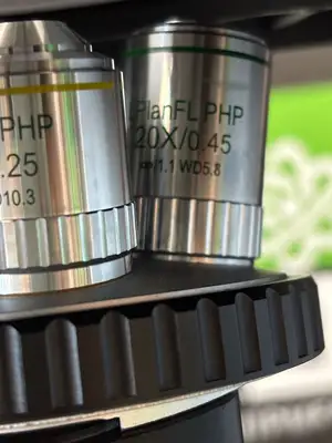Fisherbrand Inverted Research Microscope, With 3 Objectives, Looks & Works Great