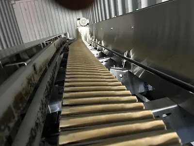 Laydown Cap Sterilizer Conveyor