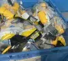 Used HUBBELL HBL27W82 Electrical Fittings Ohio US | HGR 24 #1301728