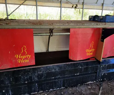 Used HEARTY HENS _UNKNOWN_ Egg Systems Pennsylvania US | Trustworthy Equipment #1549990