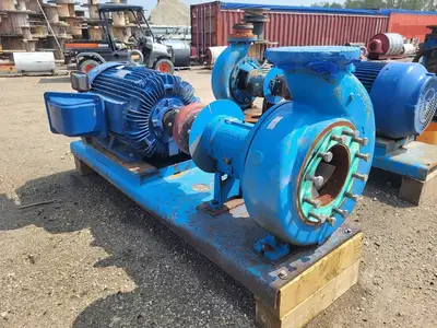 USED GOULDS 3196