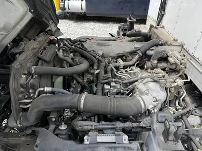 Used 2019 ISUZU NQR Reefer Trucks Florida US | Truck and Van Outlet #1509201