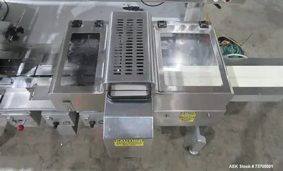 Used DELTA HAWK Flow Wrappers Illinois US | Aaron Equipment #1362973