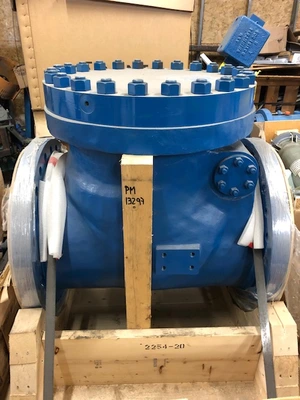 20" CL300 Weir Valves and Controls Check Valve, New Storeroom Spare