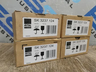 RITTAL SK 3237.124 Electrical/PLC/Automation | ESS Industrial Equipment Sales (2)
