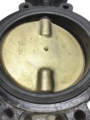 38032-UA-C91 8″ Butterfly Valve
