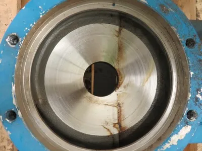 USED Goulds 3196 MTX